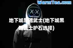地下城黑暗武士(地下城黑暗武士护石选择)