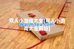 双人小游戏大全(双人小游戏大全网站)