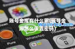 账号金库有什么用(账号金库怎么设置密码)