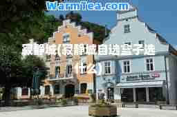 寂静城(寂静城自选盒子选什么)