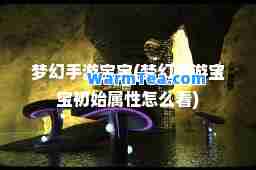 梦幻手游宝宝(梦幻手游宝宝初始属性怎么看)