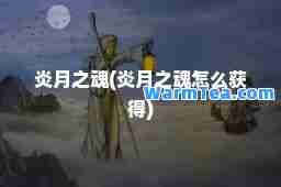 炎月之魂(炎月之魂怎么获得)