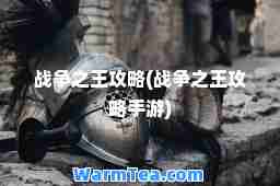 战争之王攻略(战争之王攻略手游)