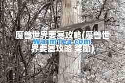 魔兽世界要塞攻略(魔兽世界要塞攻略 奖励) 魔兽世界要塞攻略(魔兽世界要塞攻略 奖励)