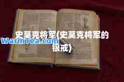 史莫克将军(史莫克将军的银戒)