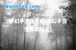 梦幻手游生死劫(梦幻手游生死劫过往)