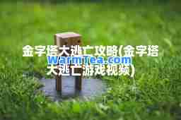 金字塔大逃亡攻略(金字塔大逃亡游戏视频)