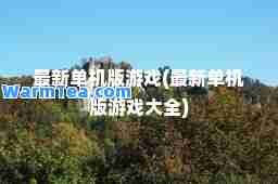 单机版游戏(单机版游戏大全)