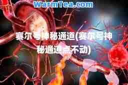 赛尔号秘通道(赛尔号秘通道点不动)