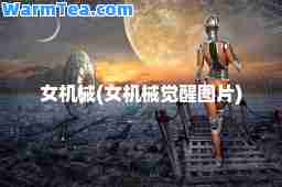 女机械(女机械觉醒图片)