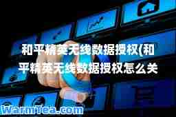 和平精英无线数据授权(和平精英无线数据授权怎么关闭)
