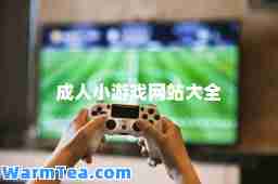 游戏网站大全