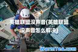 英雄联盟没声音(英雄联盟没声音怎么解决)