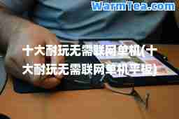 十大耐玩无需联网单机(十大耐玩无需联网单机平板)