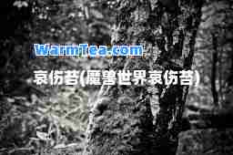 哀伤苔(魔兽世界哀伤苔)