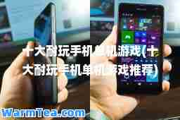 十大耐玩手机单机游戏(十大耐玩手机单机游戏)