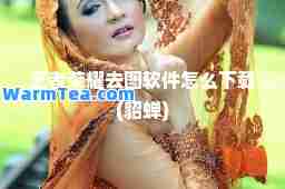 王者荣耀去图软件怎么下载(貂蝉)