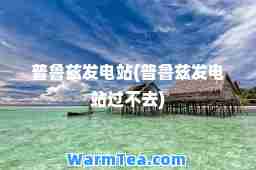 普鲁兹发电站(普鲁兹发电站过不去)