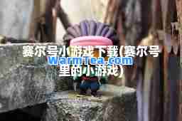 赛尔号小游戏下载(赛尔号里的小游戏)