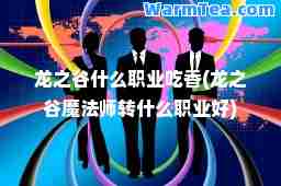 龙之谷什么职业吃香(龙之谷魔法师转什么职业好)