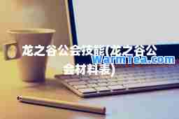 龙之谷公会技能(龙之谷公会材料表)