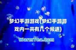 梦幻手游游戏(梦幻手游游戏内一共有几个频道)