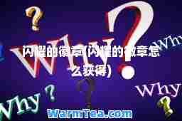 闪耀的徽章(闪耀的徽章怎么获得)