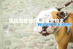 奥比岛宠物(奥比岛宠物大全)