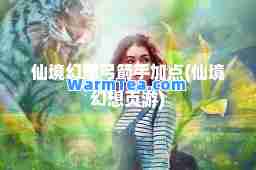 仙境幻想弓箭手加点(仙境幻想页游)