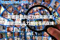英雄联盟战斗力查询器(英雄联盟战斗力查询手机在线查询)