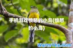 手机游戏愤怒的小鸟(愤怒的小鸟)