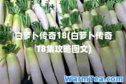 白萝卜传奇18(白萝卜传奇18集攻略图文)