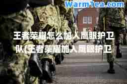 王者荣耀怎么加入鹰眼护卫队(王者荣耀加入鹰眼护卫队有什么好处)