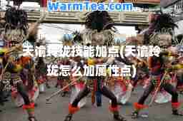 天谕玲珑技能加点(天谕玲珑怎么加属性点)