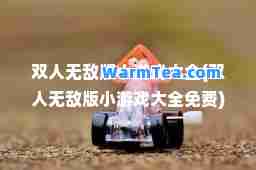 双人版小游戏大全(双人版小游戏大全免费)