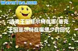 洛克王国菲尔特在哪(洛克王国菲尔特在哪里少时回忆)