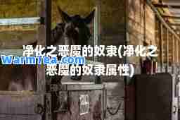 净化之恶魔的隶(净化之恶魔的隶属性)