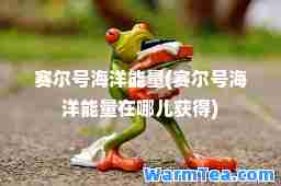 赛尔号海洋能量(赛尔号海洋能量在哪儿获得)