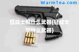 狂战士用什么武器(狂战士拿什么武器)