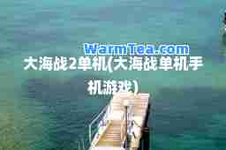 大海战2单机(大海战单机手机游戏)