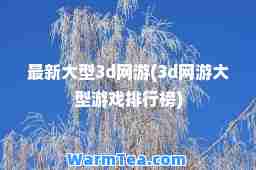 大型3d网游(3d网游大型游戏排行榜)