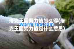 洛克王国努力值怎么得(洛克王国努力值是什么意思)