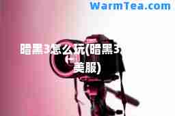 暗黑3怎么玩(暗黑3怎么玩美服)