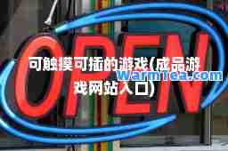 可触摸可插的游戏(成品游戏网站入口)