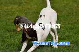 下载小游戏的网站