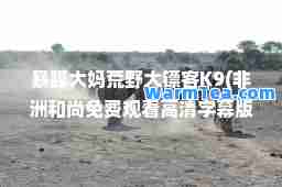 暴躁大妈荒野大镖客K9(非洲和尚免费观看高清字幕版)