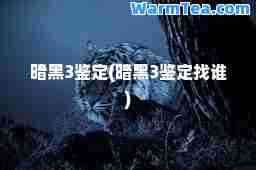 暗黑3鉴定(暗黑3鉴定找谁)