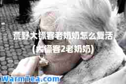 荒野大镖客老奶奶怎么复活(大镖客2老奶奶)