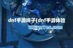 dnf手游婷子(dnf手游体验服)