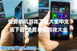 免费单机游戏下载大全中文版下载(免费单机游戏大全手机版)